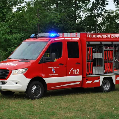 TSF-Bild-1.jpg